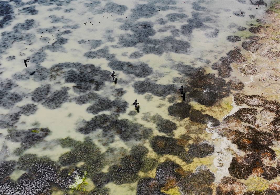 Rakamlar hiç bu kadar korkutmamıştı! Konya çölleşiyor 27